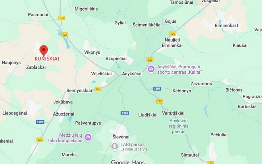 Parduodamas namas Gėlių g., Kuniškių k., 99 kv.m ploto 46