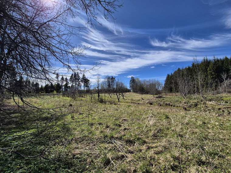 Parduodamas butas Jasonių k., Utenos r. sav., 55.06 m² ploto 2 kambariai 12