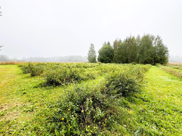 Parduodamas namas Užtvankos g., Rinkuškių k., Biržų r. sav., 72.82 m² ploto 3 kambariai 10
