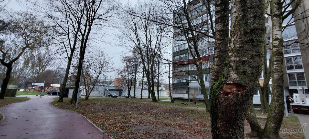Parduodamas butas Kauno g., Kauno, Klaipėdos m., Klaipėdos m. sav., 21 m² ploto 1 kambarys 2