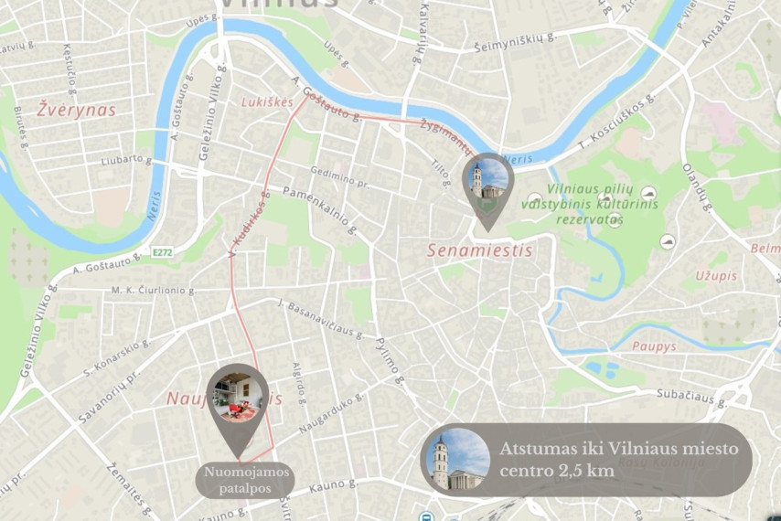 Nuomojamos administracinės, kitos paskirties, paslaugų, prekybos patalpos Vytenio g., Naujamiestis, Vilniaus m., Vilniaus m. sav., 130 m2 ploto 21