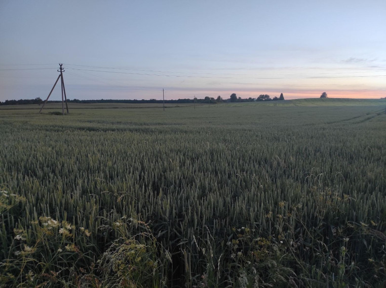 Parduodamas sklypas Valatkiškių k., Radviliškio r. sav., 531.00 a ploto 2