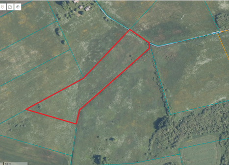 Parduodamas sklypas Čekonių k., Anykščių r. sav., 187 a ploto Parduodamas sklypas Čekonių k., Anykščių r. sav., 187 a ploto