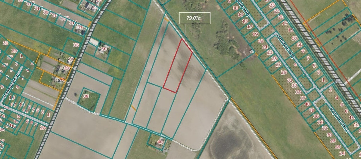 Parduodamas  sklypas Užpelkių k., Kretingos r. sav., 79.1 a ploto 1
