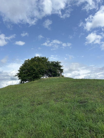 Parduodamas sklypas Perkalių k., Molėtų r. sav., 119.48 a ploto 3