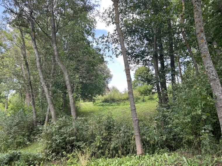 Parduodamas sklypas Perkalių k., Molėtų r. sav., 119.48 a ploto 9