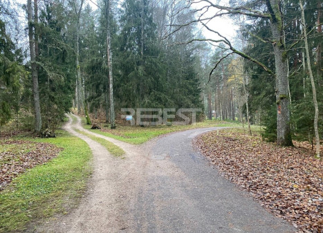 Parduodamas namų valdos paskirties sklypas Miško g., Bubių k., Šiaulių r. sav., 61.64 a ploto