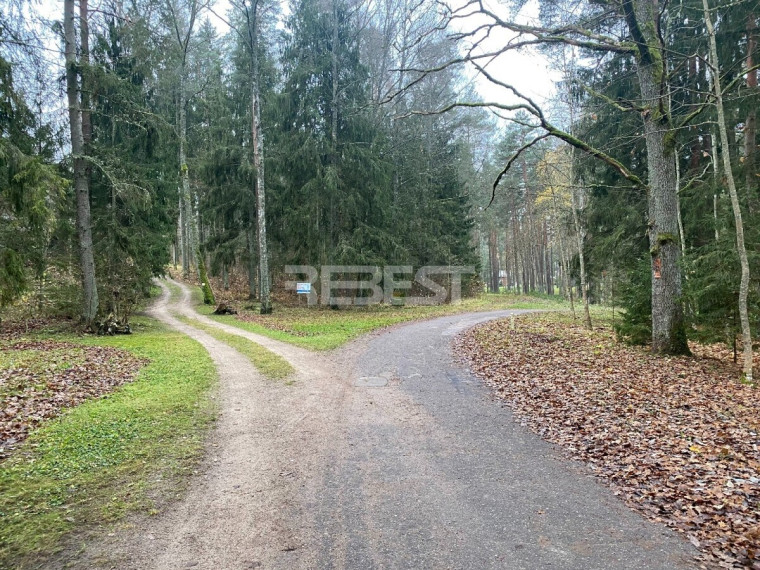 Parduodamas namų valdos paskirties sklypas Miško g., Bubių k., Šiaulių r. sav., 61.64 a ploto 1