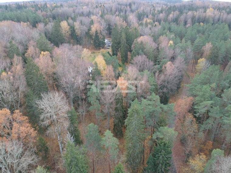 Parduodamas namų valdos paskirties sklypas Miško g., Bubių k., Šiaulių r. sav., 61.64 a ploto 4