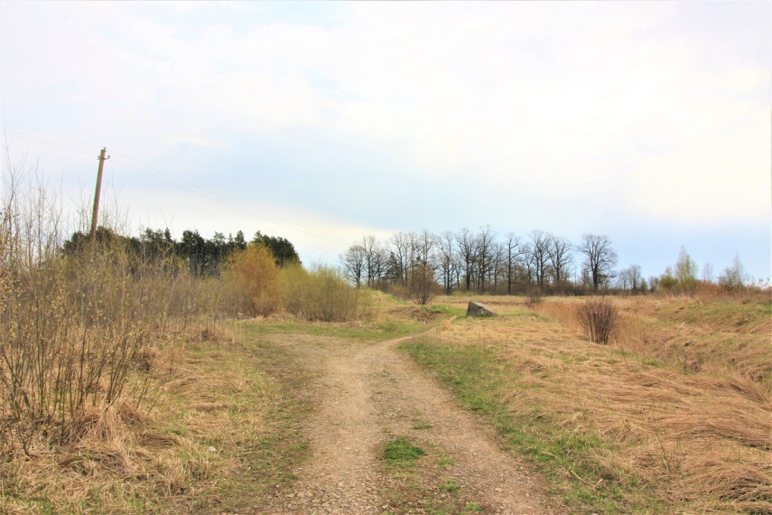Parduodamas namų valdos paskirties sklypas Vilkelių g., Panevėžio m. sav., 8.98 a ploto 2