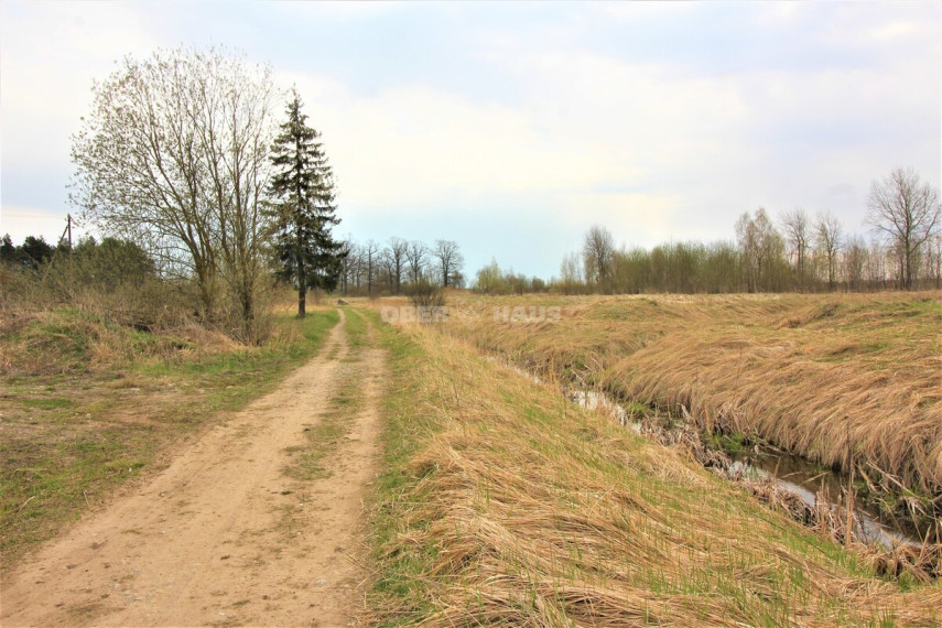 Parduodamas namų valdos paskirties sklypas Vilkelių g., Panevėžio m. sav., 8.98 a ploto 6