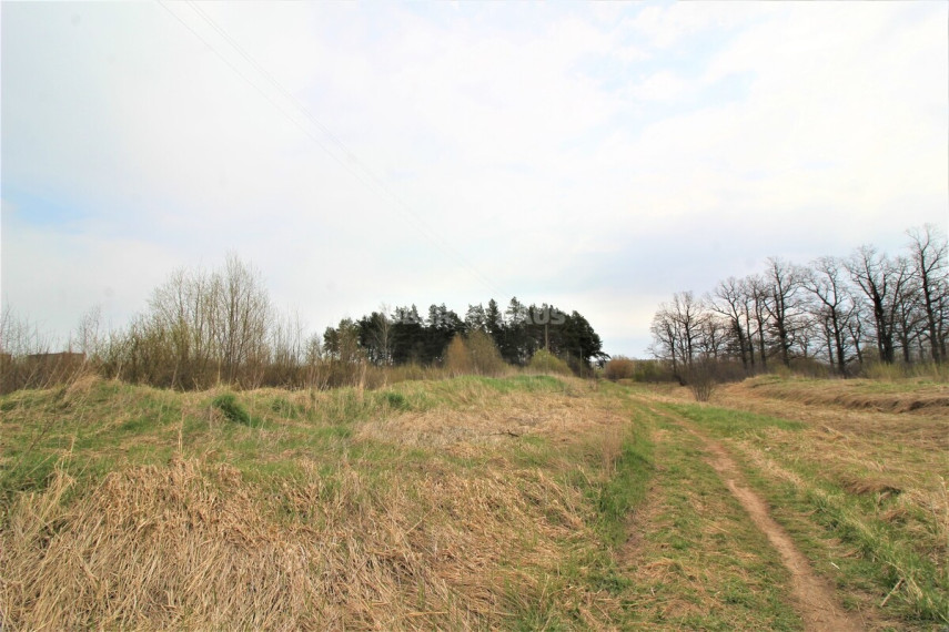 Parduodamas namų valdos paskirties sklypas Vilkelių g., Panevėžio m. sav., 8.98 a ploto 7