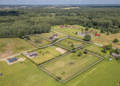 Parduodamas sklypas Gervių g., Dailidžionių k., Širvintų r. sav., 46 a ploto Parduodamas sklypas Gervių g., Dailidžionių k., Širvintų r. sav., 46 a ploto