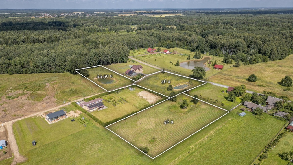 Parduodamas  sklypas Gervių g., Dailidžionių k., Širvintų r. sav., 46 a ploto 1