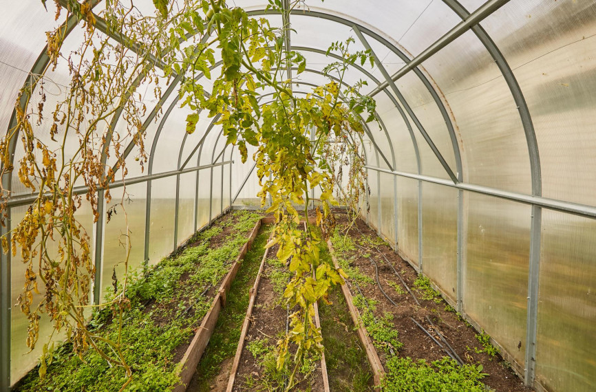 Parduodamas namas Naujakurių g., Šilainiai, Kauno m., Kauno m. sav., 92.00 m² ploto 3 kambariai 41