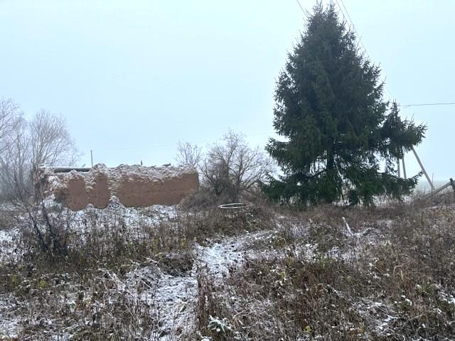 Parduodamas namas Kiaužerių k., Panevėžio r. sav., 97.55 m² ploto 3 kambariai 3