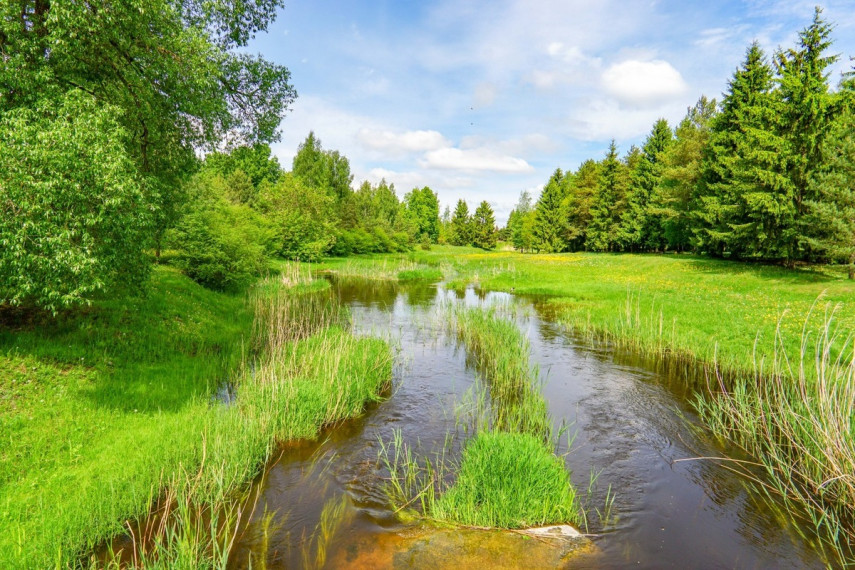 Parduodamas namas Agaro g., Biržų m., Biržų r. sav., 227 m2 ploto, 2 aukštai 34