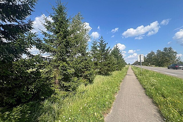 PARDUODAMAS 40 ARŲ GYVENAMOSIOS PASKIRTIES SKLYPAS LIEKUPIO G. 18, PALIŪNIŠKYJE, PANEVĖŽIO PRIEMIESTYJE 7