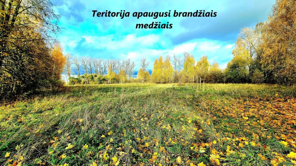 Parduodamas sklypas Draugystės g., Antakalnio k., Ukmergės r. sav., 130.00 a ploto 3