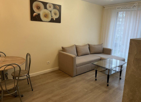 Trumpalaikė buto nuoma Taikos pr., Vėtrungė, Klaipėdos m., Klaipėdos m. sav., 30.00 m² ploto 2 kambariai Trumpalaikė buto nuoma Taikos pr., Vėtrungė, Klaipėdos m., Klaipėdos m. sav., 30.00 m² ploto 2 kambariai