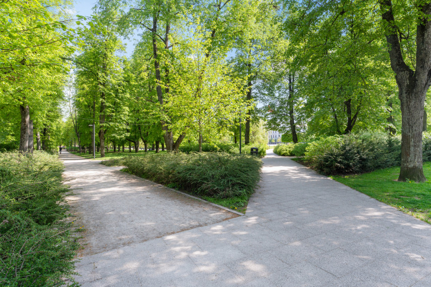 Parduodamos administracinės, kitos paskirties patalpos J. Tumo-Vaižganto g., Centras, Vilniaus m., Vilniaus m. sav., 99.31 m2 ploto 17
