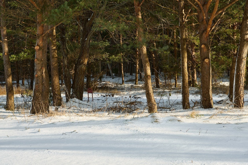 Parduodamas namas Šaltinio g., Palangos m., Palangos m. sav., 85.52 m2 ploto, 2 aukštai 33
