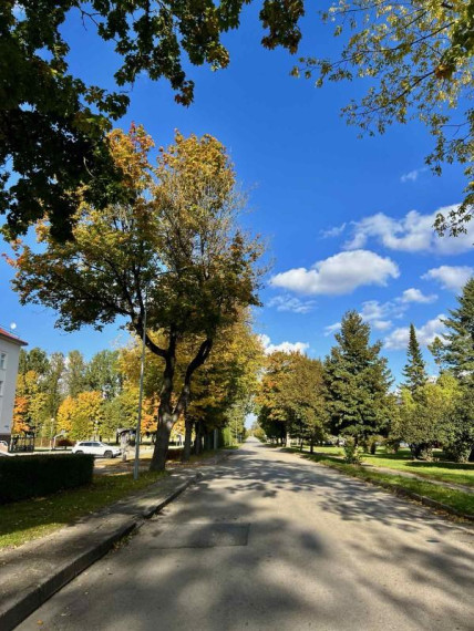 Parduodamas butas Ruokio g., Akademijos mstl., Kėdainių r. sav., 45.71 m² ploto 2 kambariai 15