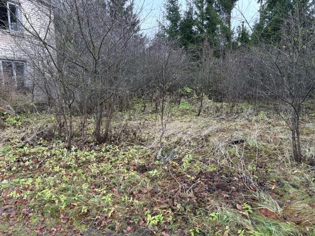 Parduodamas butas Aušros g., Smilgių k., Biržų r. sav., 53.55 m² ploto 2 kambariai 10