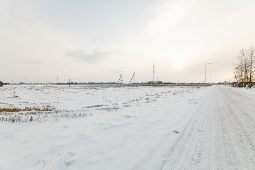 Parduodamas  sklypas Šiaulių r. sav., Lukšių k., -, 164.34 a ploto 3