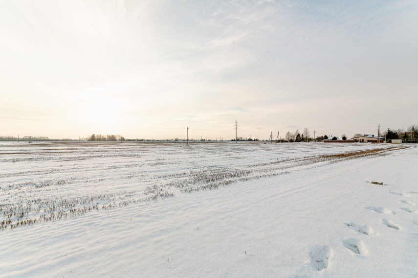 Parduodamas  sklypas Šiaulių r. sav., Lukšių k., -, 164.34 a ploto 11
