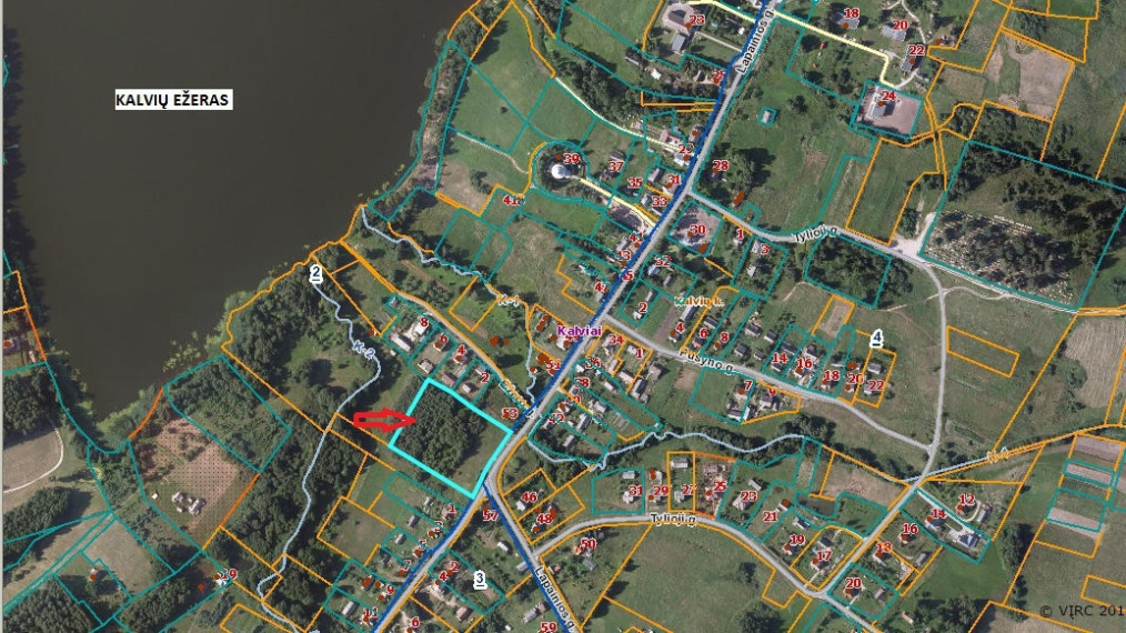 Parduodamas kitos paskirties sklypas Lapainios g., Kalvių k., Kaišiadorių r. sav., 98 a ploto 1