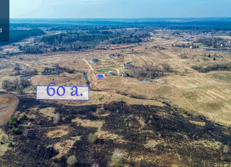 Parduodamas sklypas Vaivadiškių k., Vilniaus r. sav., 60 a ploto Parduodamas sklypas Vaivadiškių k., Vilniaus r. sav., 60 a ploto