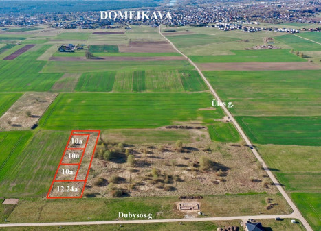 Parduodamas kitos paskirties sklypas Bičių g., Ražių k., Kauno r. sav., 60.45 a ploto