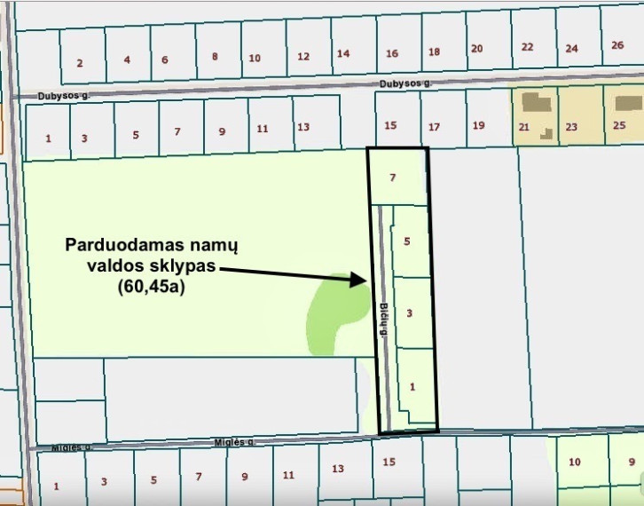 Parduodamas kitos paskirties sklypas Bičių g., Ražių k., Kauno r. sav., 60.45 a ploto 4