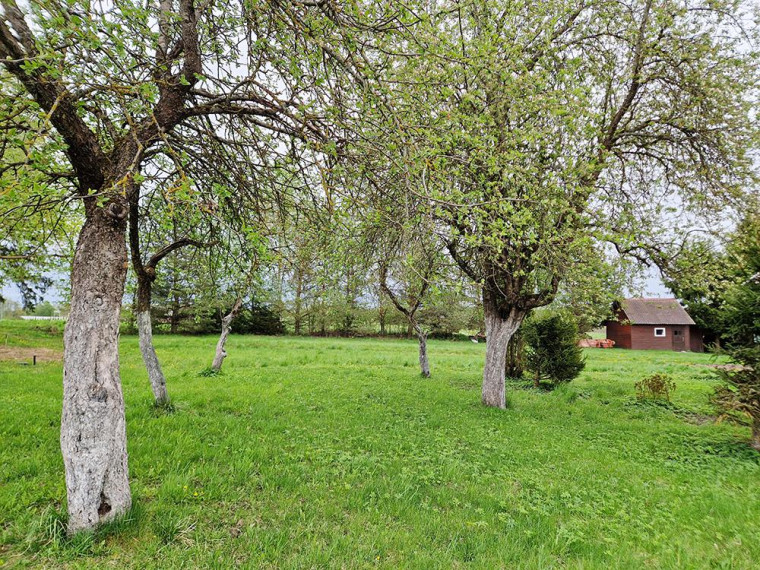 Parduodamas namas Miežonių k., Molėtų r. sav., 80.45 m² ploto 3 kambariai 14
