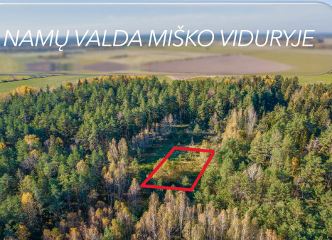 Parduodamas sklypas Pabarčių k., Šalčininkų r. sav., 10.00 a ploto