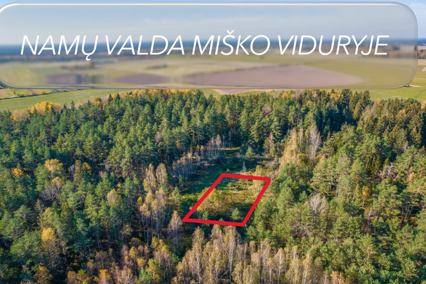 Parduodamas sklypas Pabarčių k., Šalčininkų r. sav., 10.00 a ploto 1