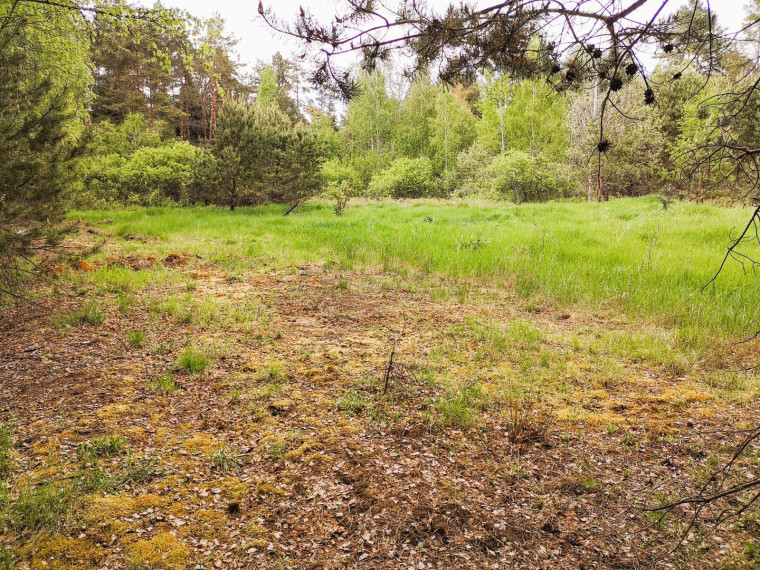 Parduodamas sklypas Pabarčių k., Šalčininkų r. sav., 10.00 a ploto 17