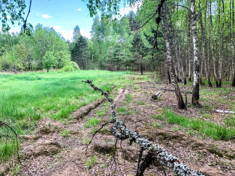 Parduodamas sklypas Pabarčių k., Šalčininkų r. sav., 10.00 a ploto 18