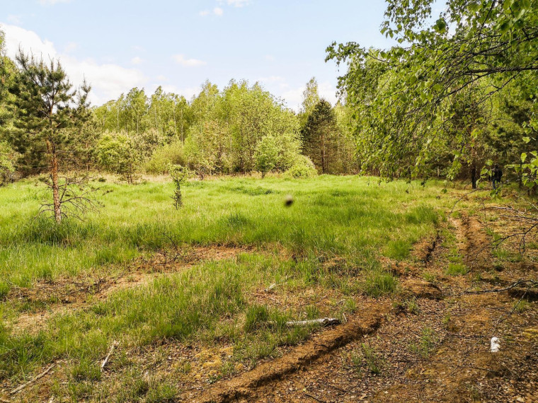 Parduodamas sklypas Pabarčių k., Šalčininkų r. sav., 10.00 a ploto 21