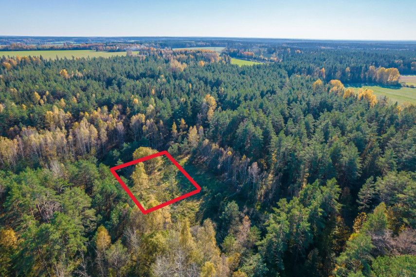 Parduodamas sklypas Pabarčių k., Šalčininkų r. sav., 10.00 a ploto 4