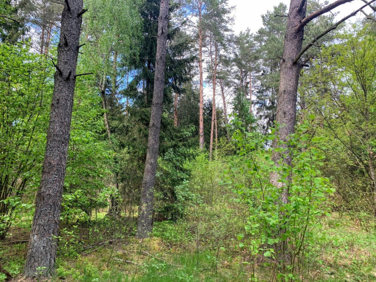 Parduodamas sklypas Pabarčių k., Šalčininkų r. sav., 10.00 a ploto 22