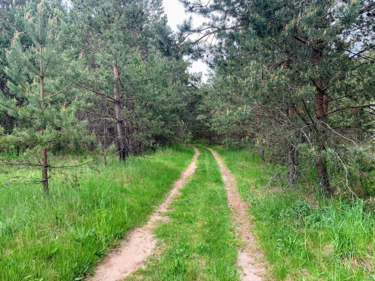 Parduodamas sklypas Pabarčių k., Šalčininkų r. sav., 10.00 a ploto 23