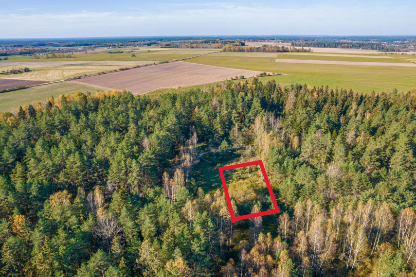 Parduodamas sklypas Pabarčių k., Šalčininkų r. sav., 10.00 a ploto 5