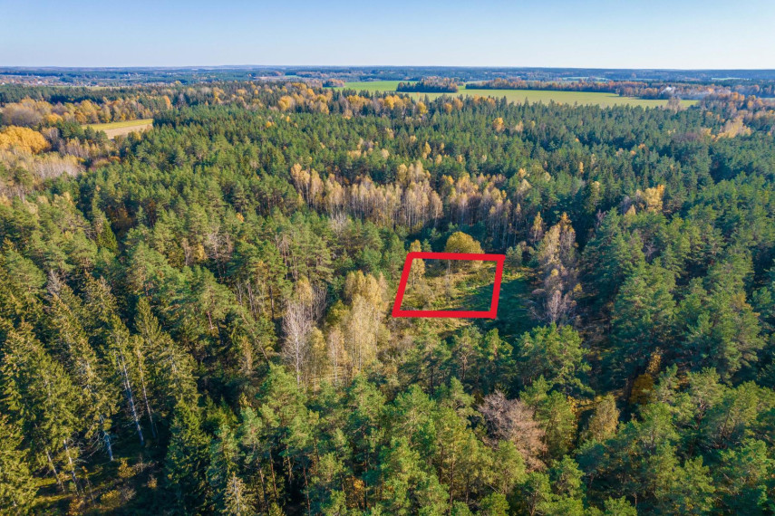 Parduodamas sklypas Pabarčių k., Šalčininkų r. sav., 10.00 a ploto 7