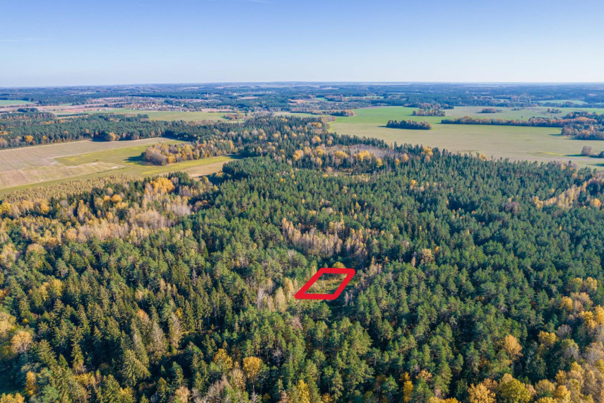 Parduodamas sklypas Pabarčių k., Šalčininkų r. sav., 10.00 a ploto 11