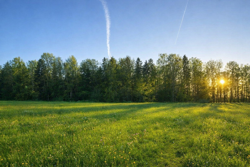 Parduodamas kitos paskirties sklypas Gėlių g., Rutkiškių k., Prienų r. sav., 30.16 a ploto 26