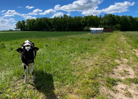 Parduodamas kitos paskirties sklypas Gėlių g., Rutkiškių k., Prienų r. sav., 30.16 a ploto Parduodamas kitos paskirties sklypas Gėlių g., Rutkiškių k., Prienų r. sav., 30.16 a ploto
