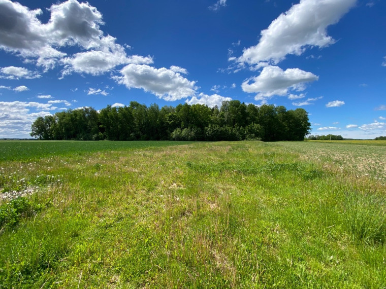 Parduodamas kitos paskirties sklypas Gėlių g., Rutkiškių k., Prienų r. sav., 30.16 a ploto 29