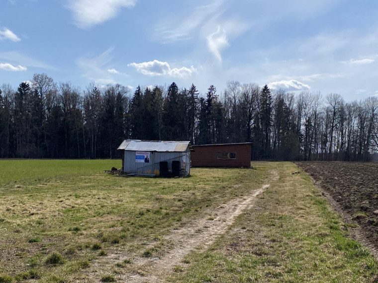 Parduodamas kitos paskirties sklypas Gėlių g., Rutkiškių k., Prienų r. sav., 30.16 a ploto 19